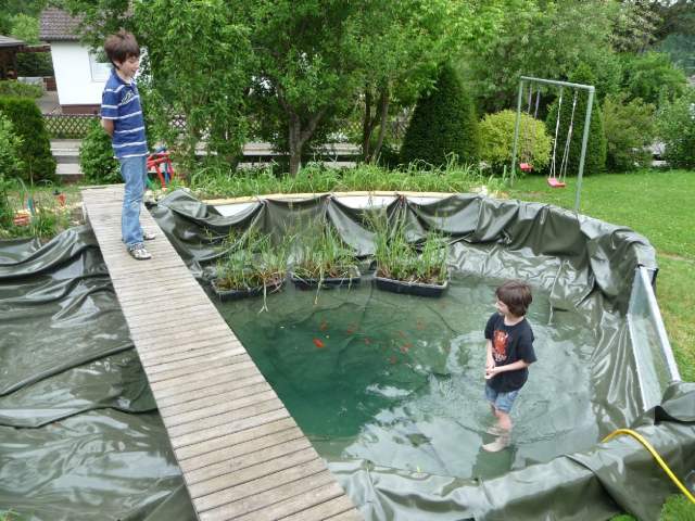 images/Teich004.jpg