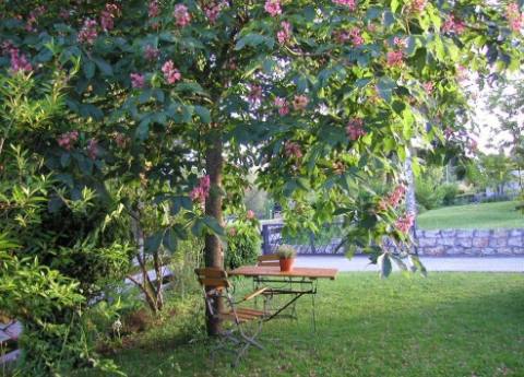 images/haus03.jpg