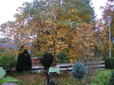 images/haus06.jpg