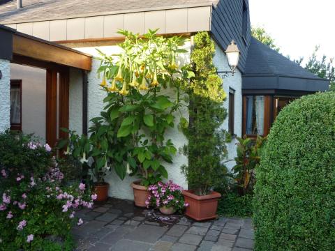 images/haus09.jpg