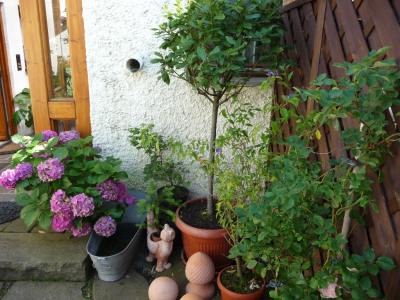 images/haus18.jpg