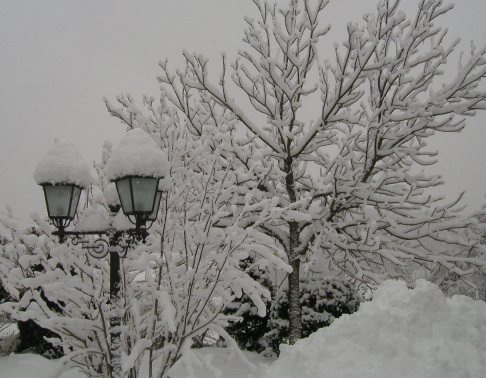 images/winter1.jpg